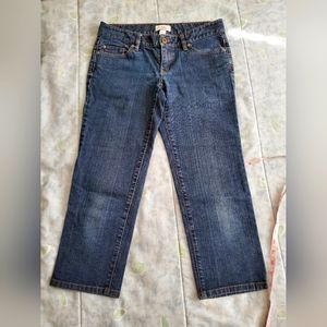 Ann Taylor Loft Jeans